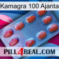 Kamagra 100 Ajanta 06